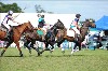 UKPA NC SAT_2501